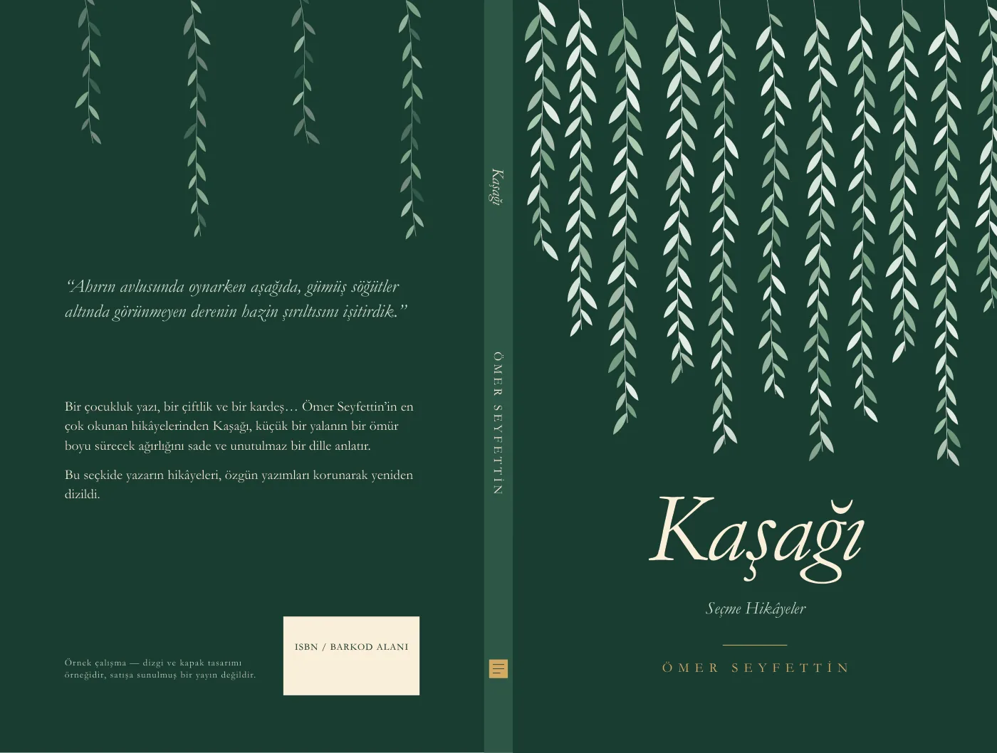 Kaşağı — kitap kapağı — önizleme 1